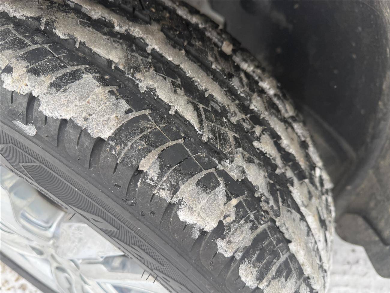 Image of Listing 50873