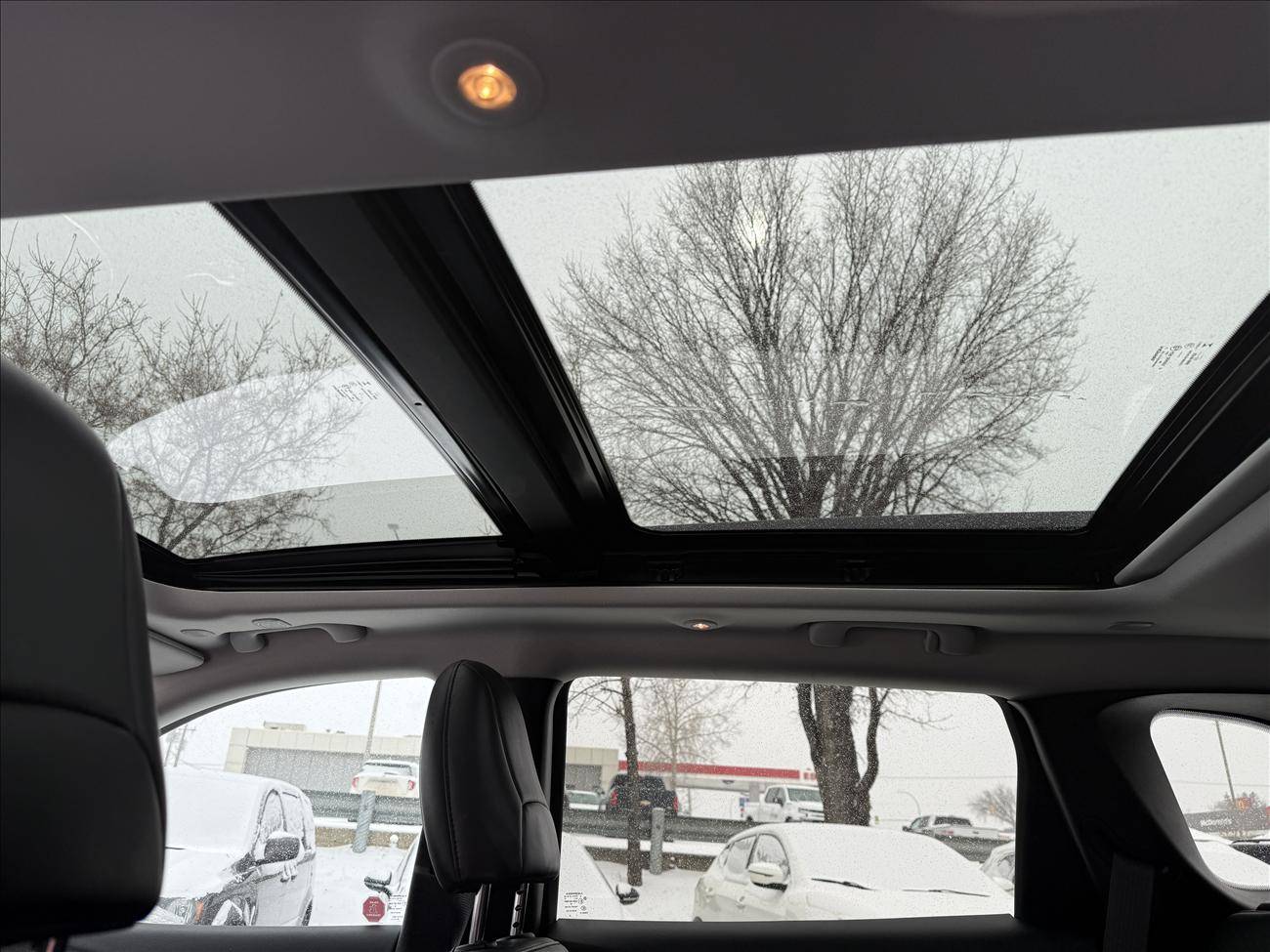 Image of Listing 50883