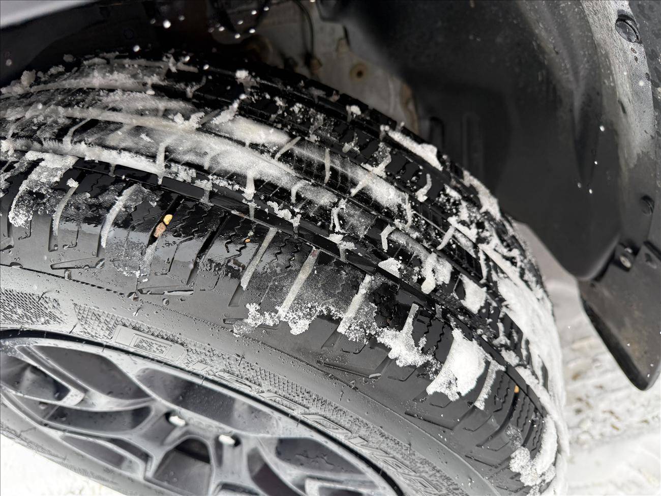 Image of Listing 50883