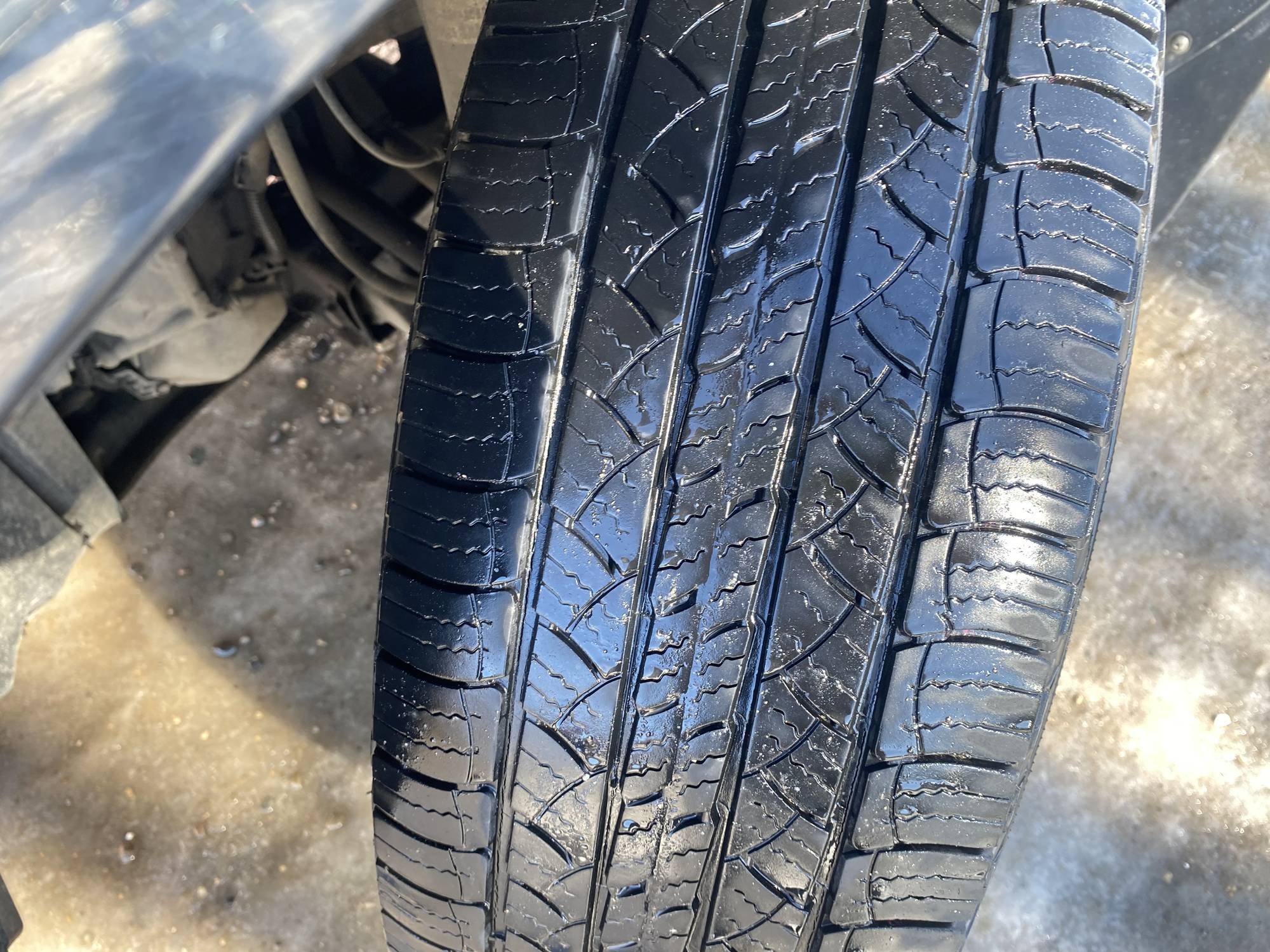 Image of Listing 50791