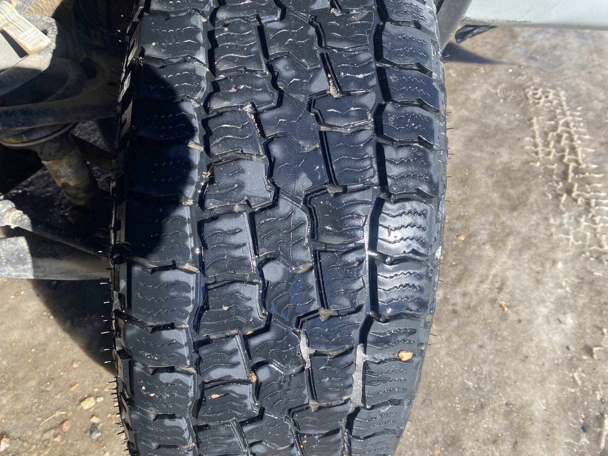 Image of Listing 50793