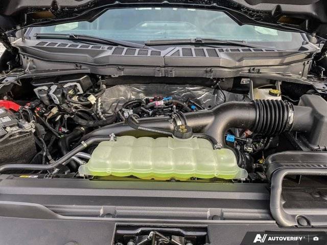 Image of Listing 50297