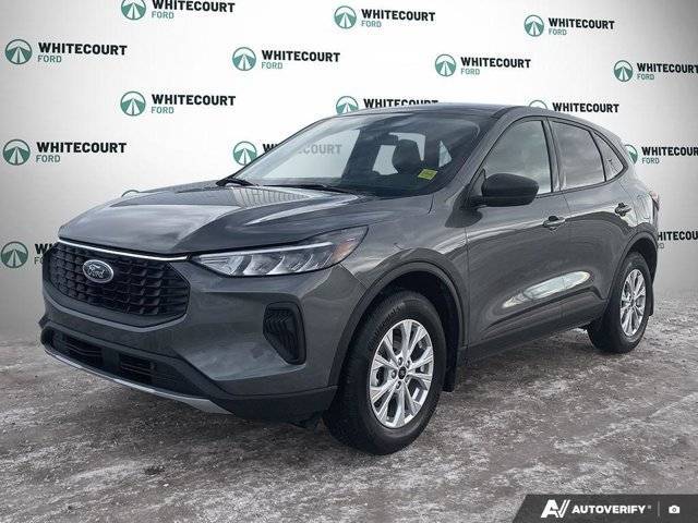 Primary image of listing 50320