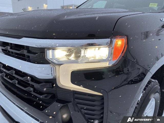 Image of Listing 50519