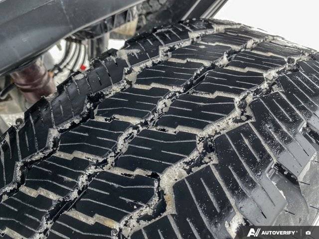 Image of Listing 50534