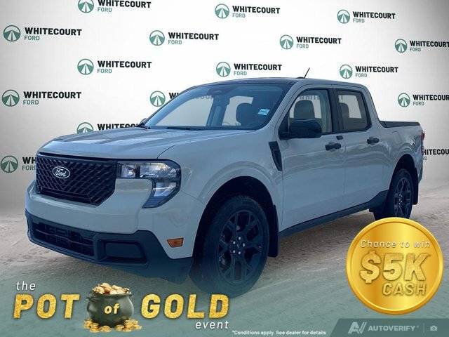 Primary image of listing 49594