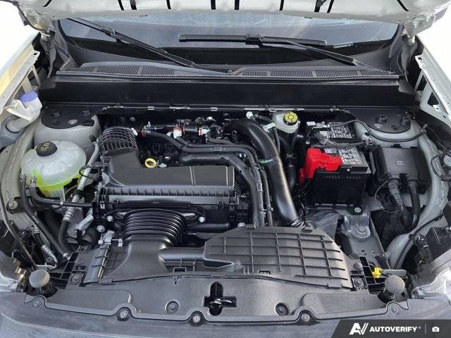 Image of Listing 50553