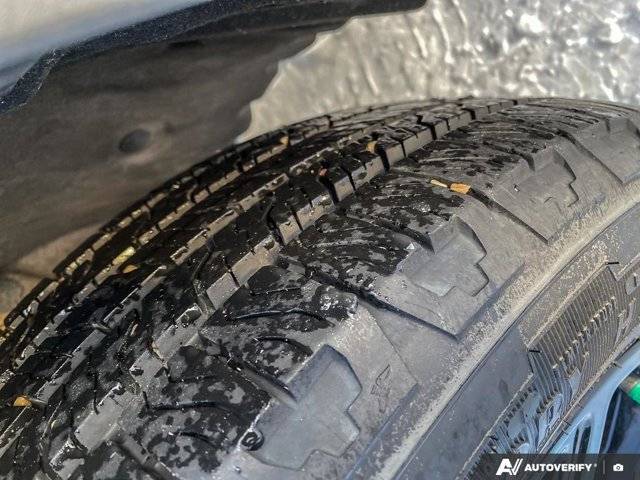 Image of Listing 50553