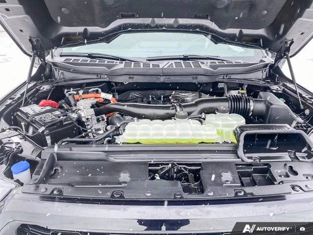 Image of Listing 49296