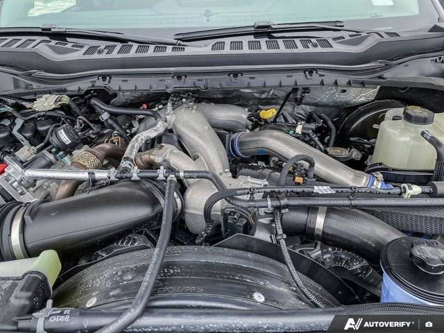 Image of Listing 50534