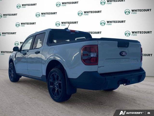 Image of Listing 49594