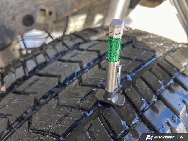 Image of Listing 50703