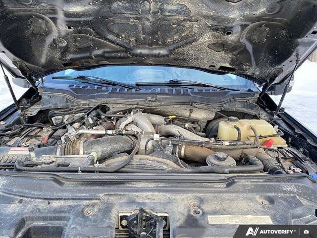 Image of Listing 50380