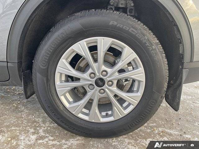 Image of Listing 50320