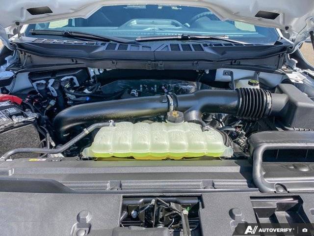 Image of Listing 47981