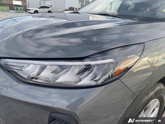 Image of Listing 50320