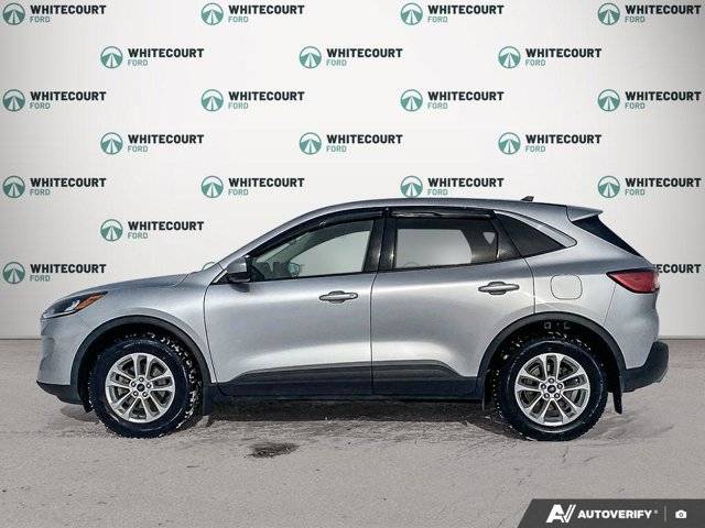 Image of Listing 50881