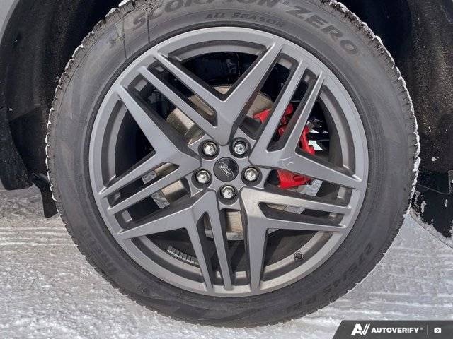 Image of Listing 50649