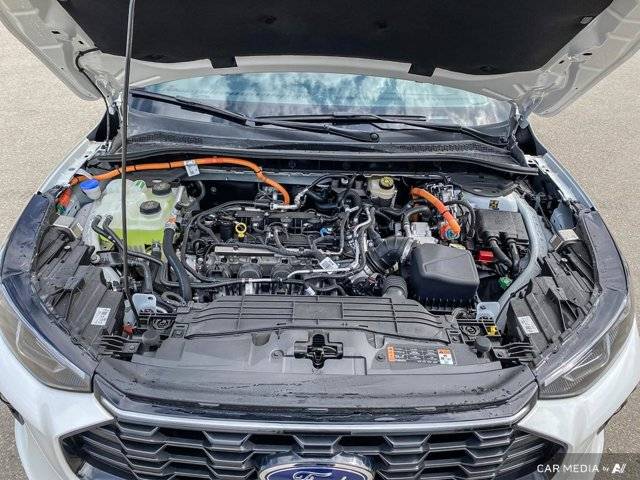 Image of Listing 46630