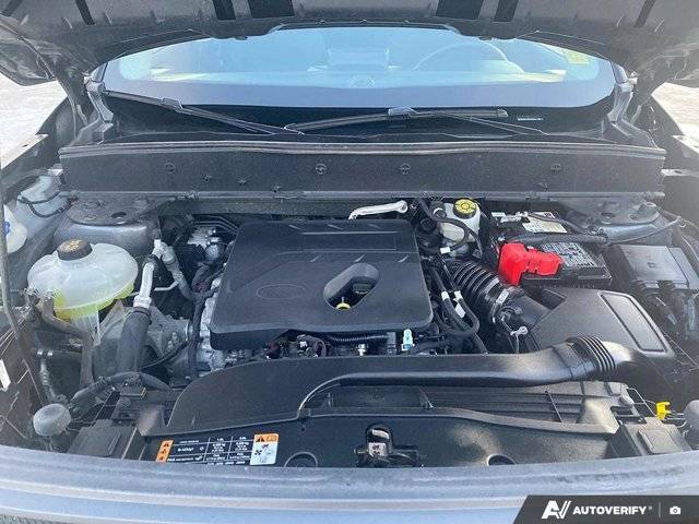 Image of Listing 50839