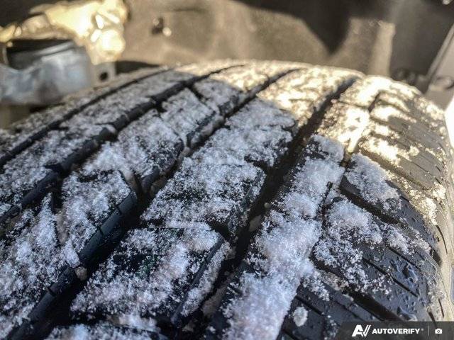 Image of Listing 49891