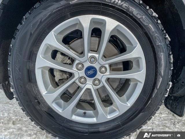 Image of Listing 50881