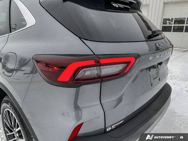 Image of Listing 49940