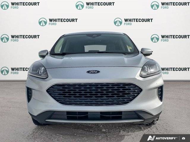 Image of Listing 50881