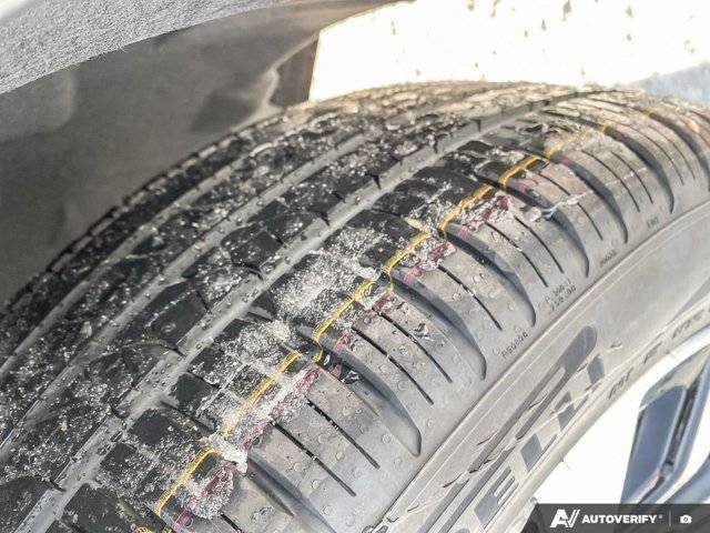 Image of Listing 50880