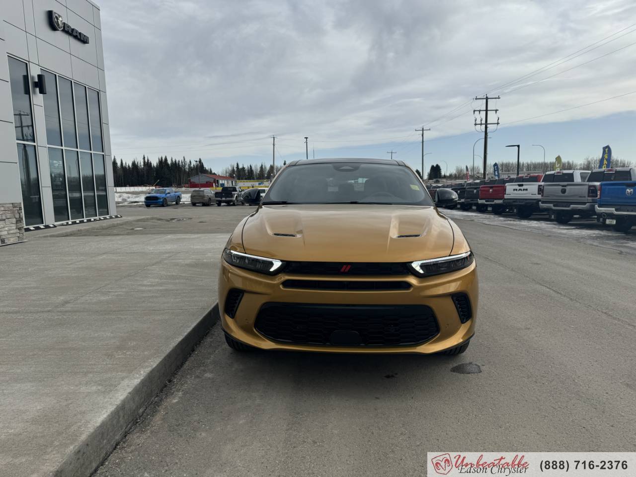 Image of Listing 43947