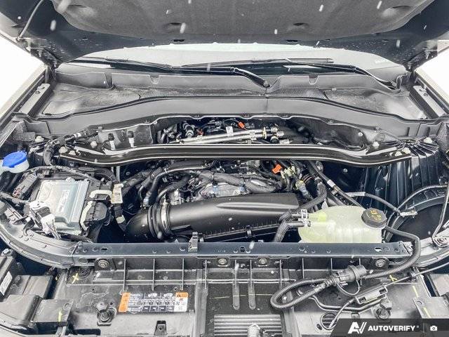 Image of Listing 50646