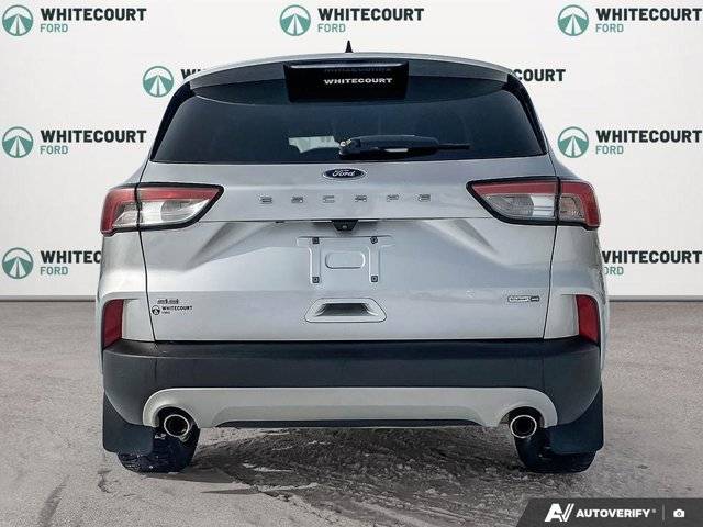 Image of Listing 50881