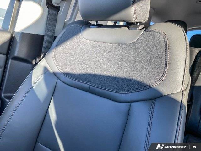 Image of Listing 49891