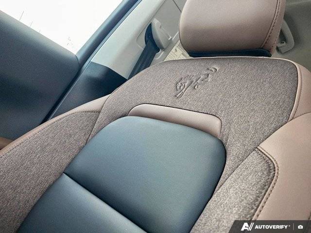 Image of Listing 50390