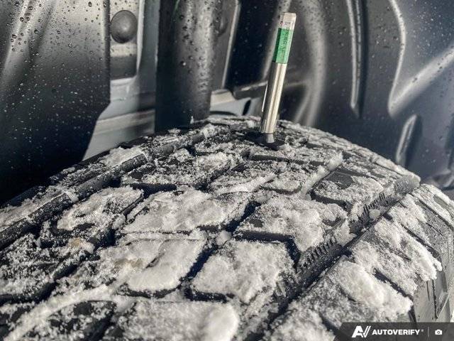 Image of Listing 50467