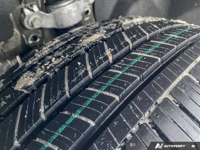 Image of Listing 50550