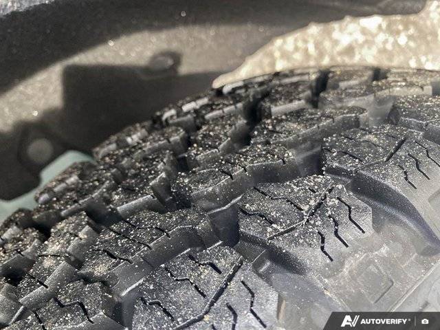 Image of Listing 50390