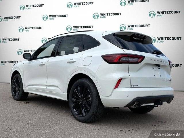 Image of Listing 46630