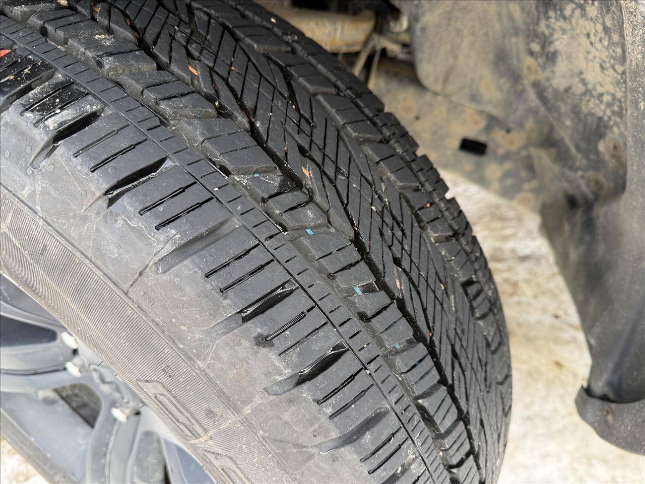 Image of Listing 50908