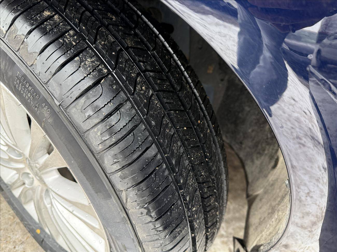 Image of Listing 51050