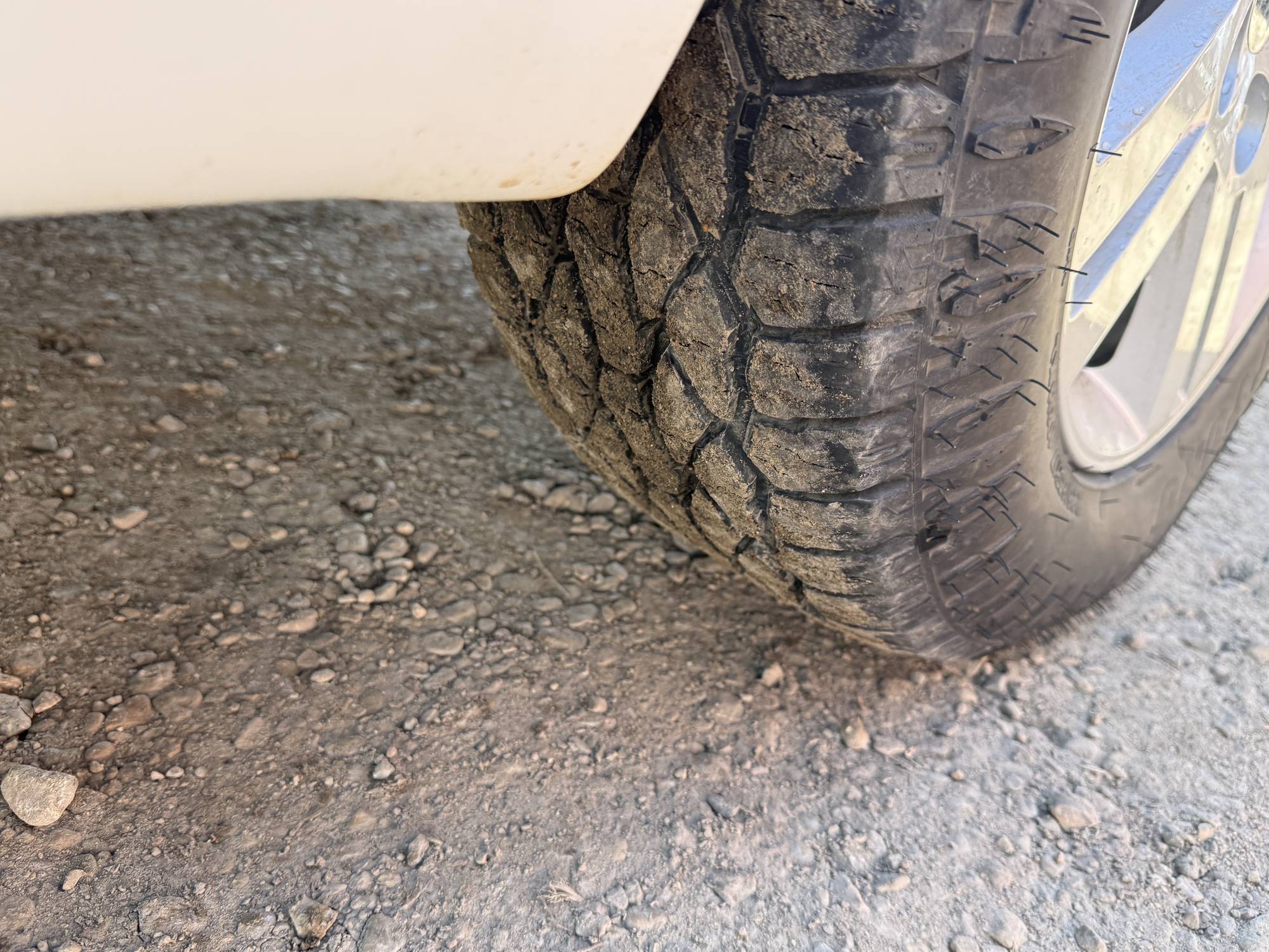 Image of Listing 51172