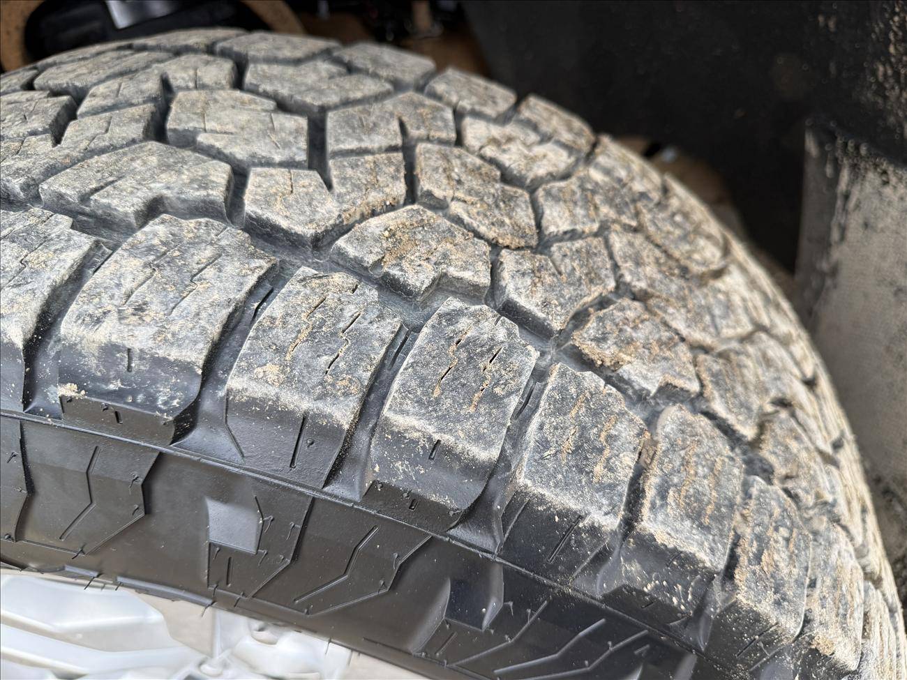 Image of Listing 51161