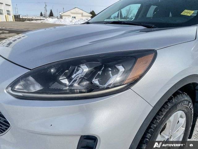 Image of Listing 50881