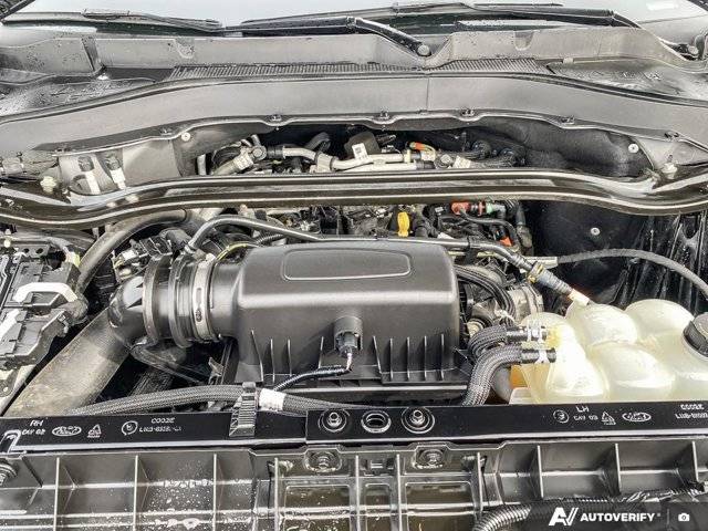 Image of Listing 50938