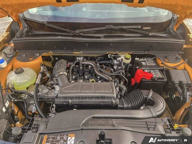 Image of Listing 50391