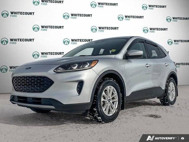 Primary image of listing 50881