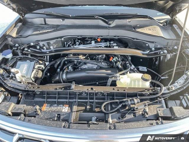 Image of Listing 50880