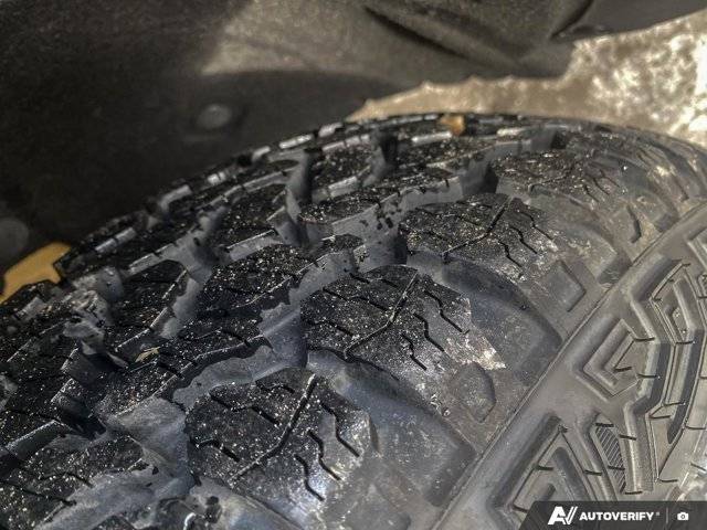 Image of Listing 50391