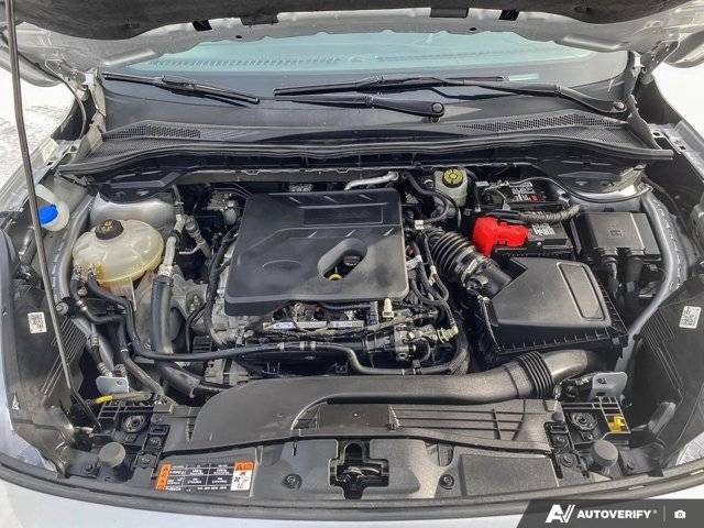 Image of Listing 50881