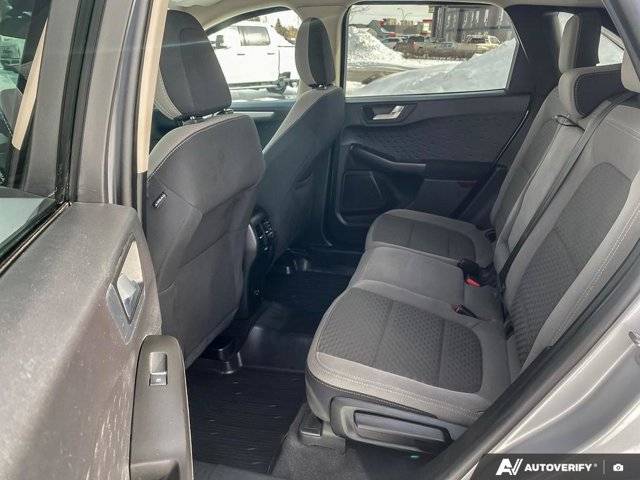 Image of Listing 50881